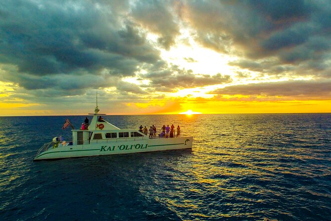 Premium Snorkel Sunset Cruise with Whale and Dolphin Watch - Key highlights to know