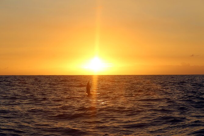 Premium Snorkel Sunset Cruise with Whale and Dolphin Watch - After snorkeling: showers, changing rooms, and the comfort factor