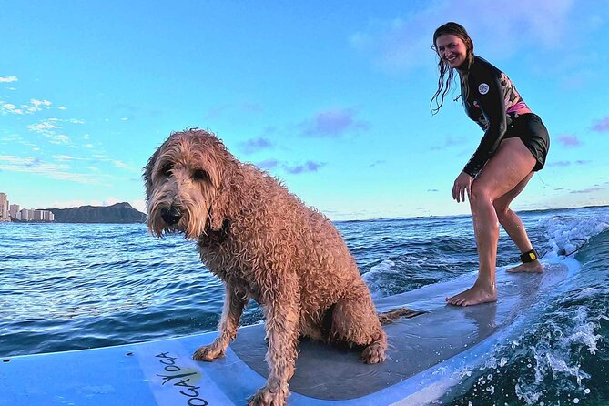 Private 1-on-1 Surf Lesson with Videos and Photos - Diamond Head, Waikiki, and Honolulu: Using These Landmarks to Ground Your Plan