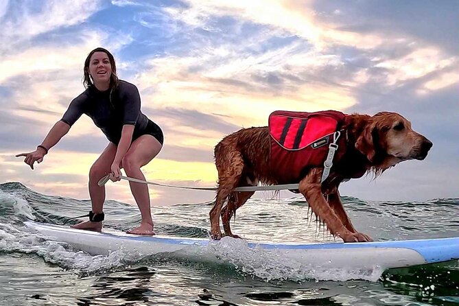 Private 1-on-1 Surf Lesson with Videos and Photos - Who This Is Best For (And Who Should Think Twice)