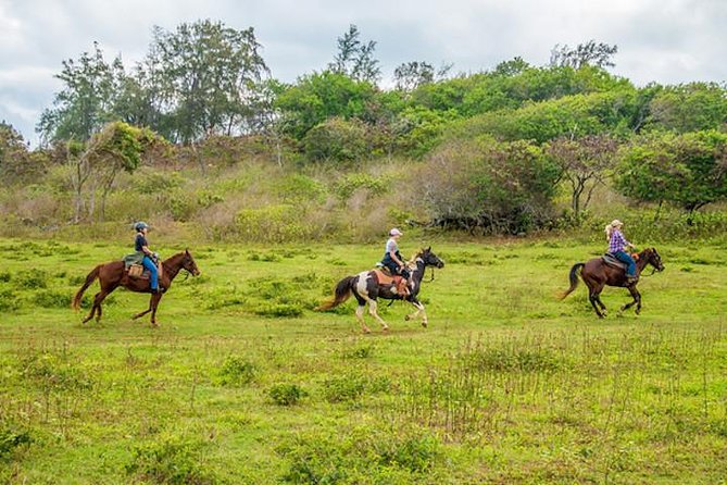 Private Advanced Trail Ride - Key things to know before you go