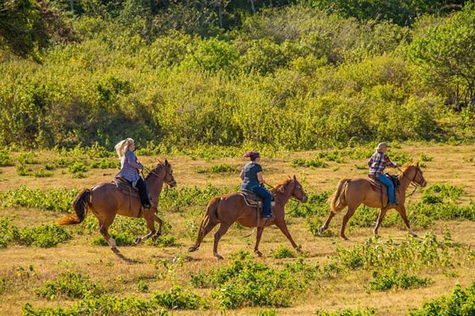 Private Advanced Trail Ride - Why a private advanced horseback ride in Kahuku feels worth it