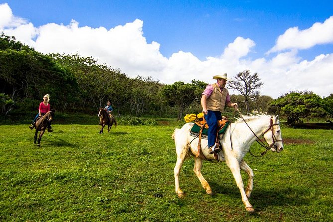 Private Advanced Trail Ride - Phones, photos, and staying comfortable during the session
