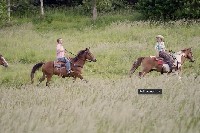 Private Advanced Trail Ride - How advanced riding works here (and why they limit gaits)