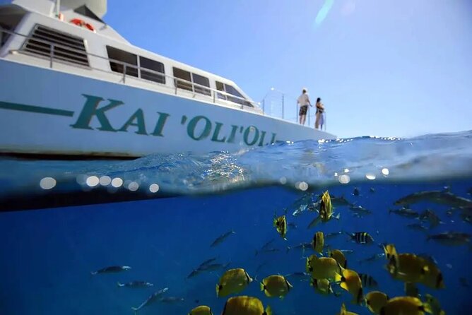 Private and Luxurious Sunset Cruise with Whale & Dolphin Watch - Key highlights at a glance