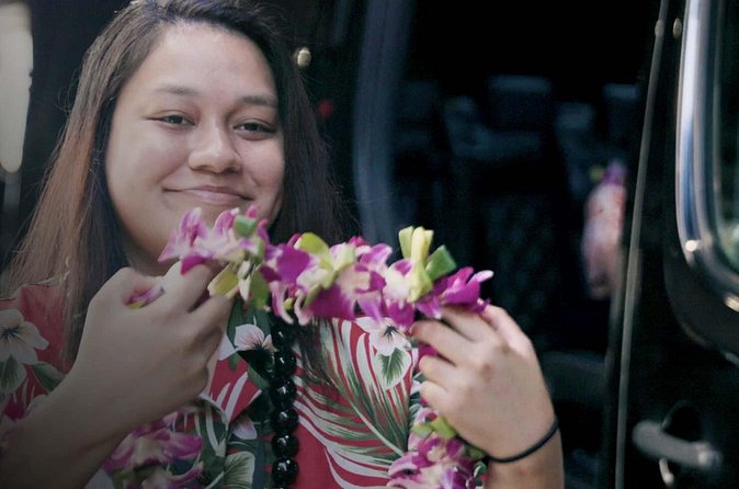 Private Arrival Transfer: Honolulu International Airport to Oahu Hotels or Cruise Terminal - Value and Price: How to Think About $75 and Group Size