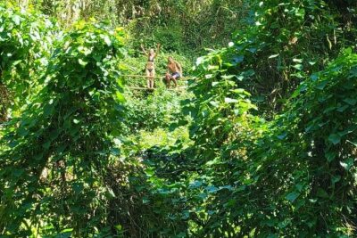 Private Bucket List Adventure Day- Hikes, Beaches, Waterfalls - Pickup, privacy, and the guide style that keeps the day moving