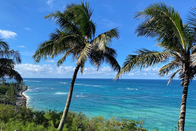 Private Circle Island Off-the-Beaten- Oahu Tour - Price and Value for a Private North Shore Day