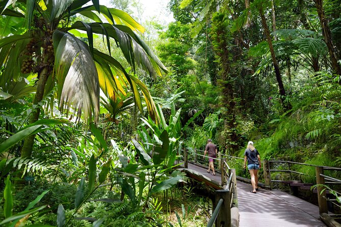 Private Circle Island Off-the-Beaten- Oahu Tour - Getting the Most Out of Your Time: What to Bring