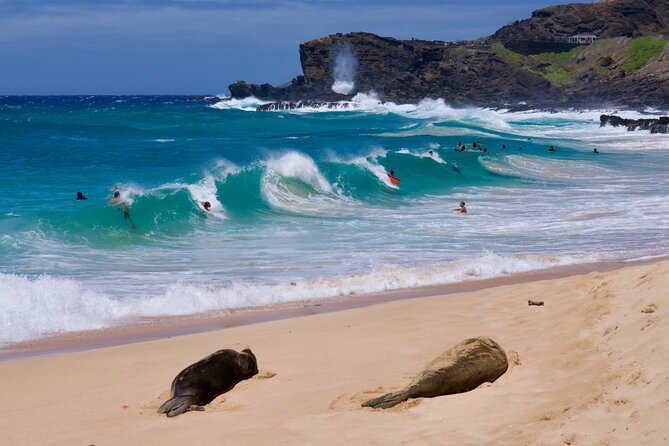 Private Circle Island Tour-Oahu-Customizable - Sandy Beach, Makapuʻu, and whale-season chances