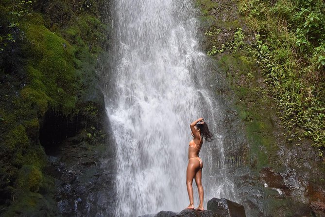 Private Circle Island Tour we build your dream Itinerary - Halona Blowhole and Lanikai Beach: The Coast Gets Serious