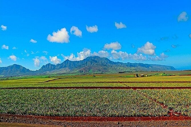 Private Customizable Oahu Grand Circle Island Tour from Waikiki - Private Oahu Grand Circle comfort starts in Waikiki at 8:00 am