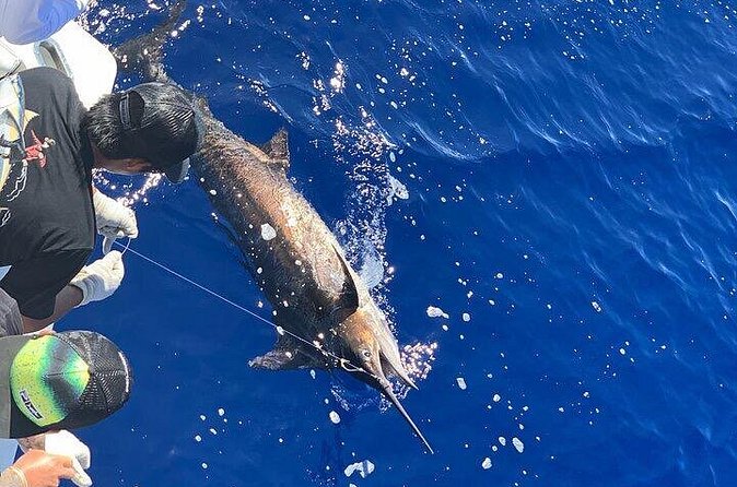 Private Deep Sea Full-Day Fishing Charter in Hawaiian Waters - Price and Value: What $1,190 Gets You (and What It Doesn’t)