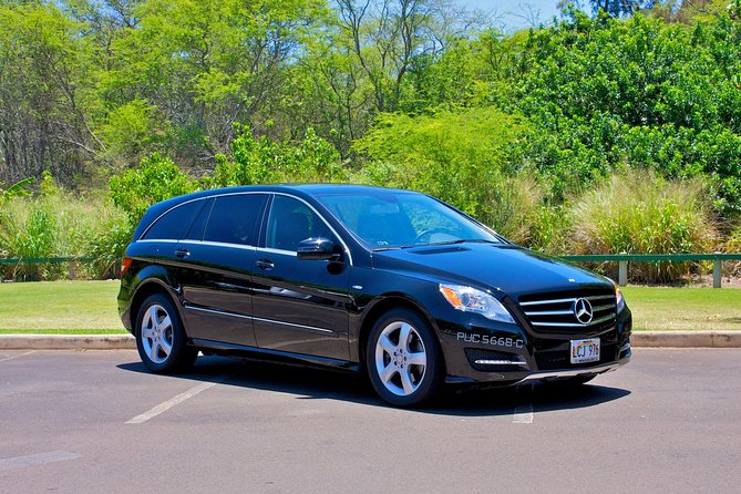 Private Departure Transfer: Oahu Hotels or Honolulu Cruise Terminal to Honolulu International Airport - Key Things to Know Before You Ride