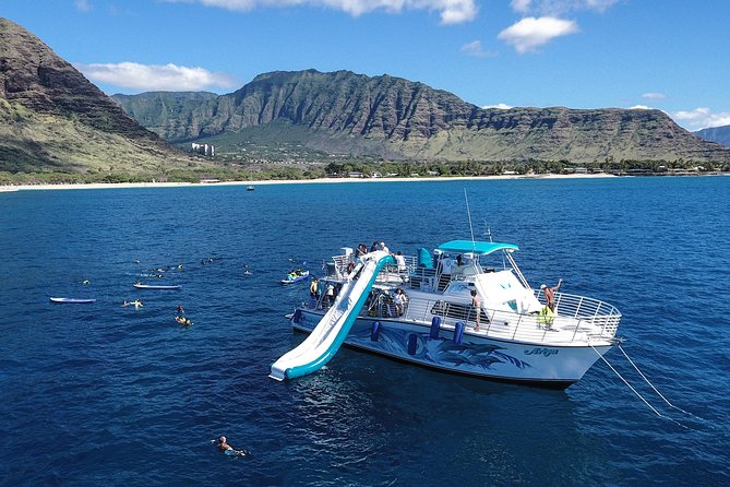Private Dolphin Swim with Slide for up to 15 Passengers - Meeting at Waianae Small Boat Harbor (and Why the West Side Matters)