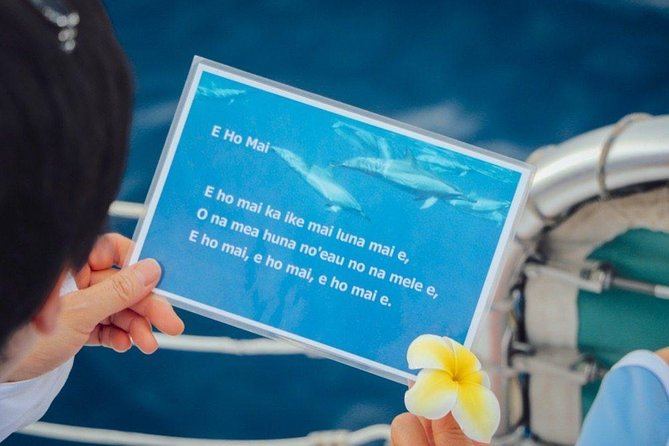 Private Dolphin Swim with Slide for up to 15 Passengers - Food on Board: Bento Lunch That Helps You Stay Outside Longer