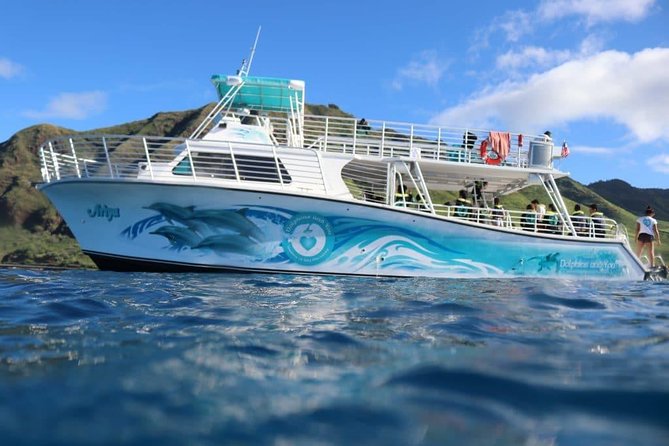 Private Dolphin Swim with Slide for up to 15 Passengers - The Boat Experience: Two Decks, Wraparound Views, and Real Bathroom Space