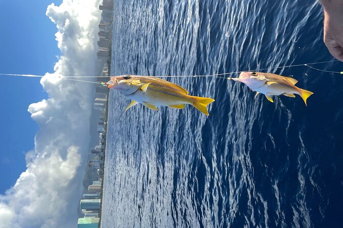 Private Fishing Charter for Family and Friends in Honolulu - The Best Part for Many Families: Views While You Fish