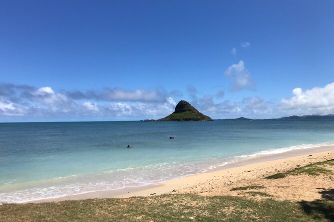 Private Full-Day Circle Island Guided Small-Group up to 6 (Se habla Español) - North Shore time: huli huli, beaches, and winter wave watching