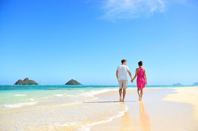 Private Green and Blue Circle Island Oahu Tour (se habla espanol) - Language and booking practicality (English and Spanish)