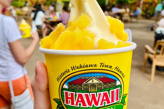 Private Half-Day Circle Island Highlights Tour in Oahu - Key points before you go