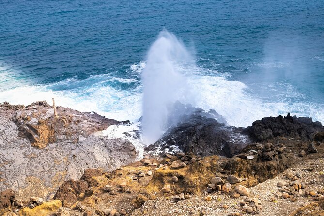 Private Half-Day Circle Island Highlights Tour in Oahu - Price and logistics for up to 13 people