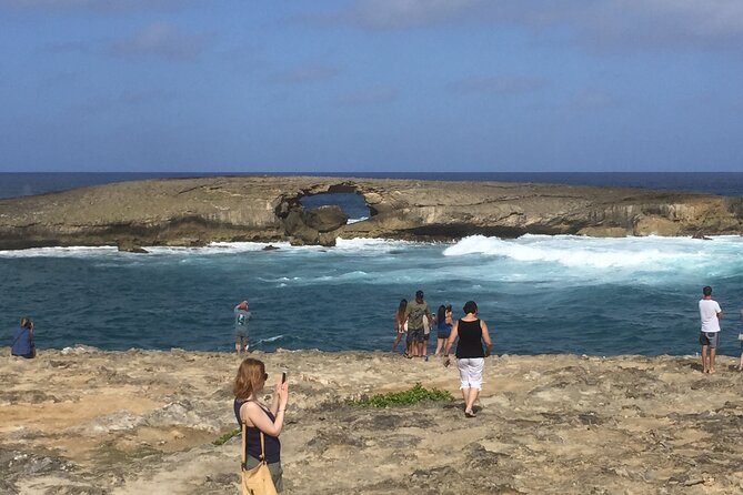 Private luxury tour of Oahu island - Laniakea Turtle Beach and Waimea Bay: wildlife and surf energy