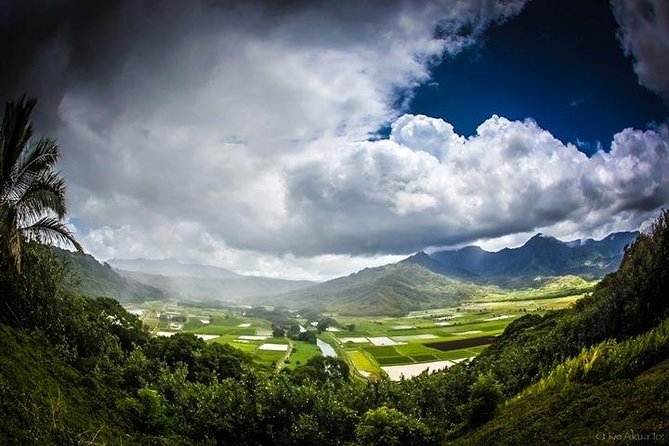 Private luxury tour of Oahu island - Waikiki pickup and timing: how the day flows