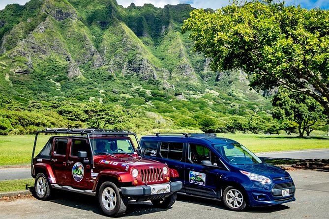 Private North Shore of Oahu Tour - Diamond Head and Waimea Bay: the lookout combo you shouldn’t miss