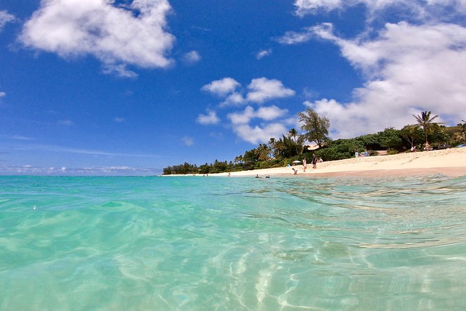 Private Oahu Pearl Harbor and Island Sightseeing Combination Tour - Diamond Head and North Shore highlights: viewpoints, big water, and “one more stop”