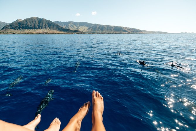 Private Oahu Sunset Charter with Tasting and Drinks - Price and value: what you’re really paying for