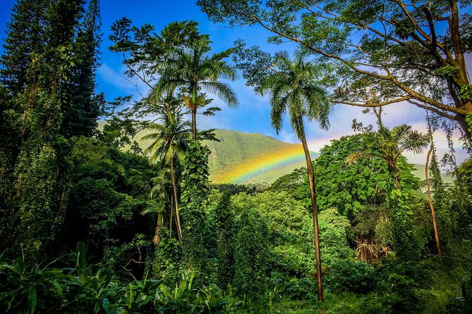 Private Oahu Van Tour - Pickup, timing, and what 6 hours is really for