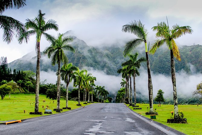 Private Oahu Van Tour - Nu‘uanu Pali: lookout views plus battle-site context