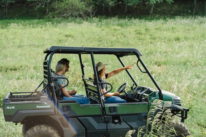 Private Off-Road Adventure Tour - Key highlights you’ll feel right away