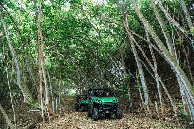 Private Off Road Explorer's Tour - Your off-road ride basics: helmets, a guide, and time on real trails