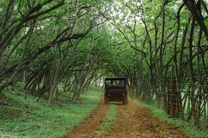 Private Off Road Explorer's Tour - Animals, fruit, and hands-on moments you might catch