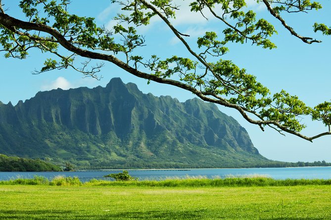 Private Pearl Harbor and Scenic Oahu Tour - North Shore highlights: Dole, Haleʻiwa, shrimp stop, Kualoa photo time