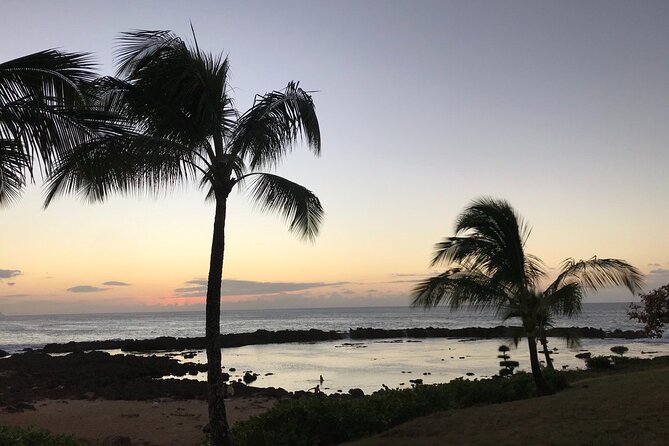Private Pearl Harbor & North Shore tour (Se habla Español) - Pearl Harbor first, North Shore last: how the 8-hour flow works