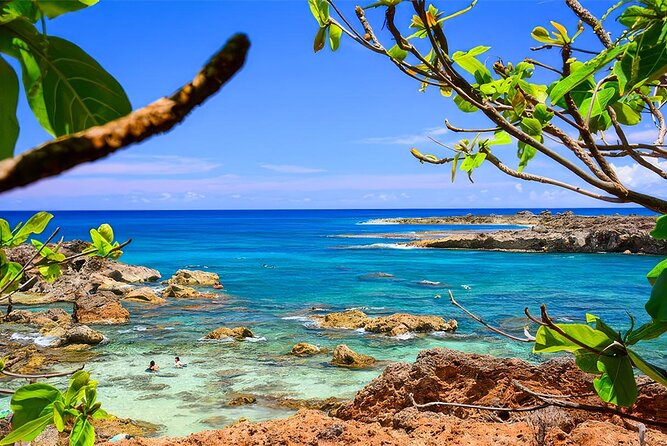 PRIVATE Premium Circle Island Tour (12 Stops) - Halona Blowhole and Makapu‘u Point: Two Ways the Coast Shows Off