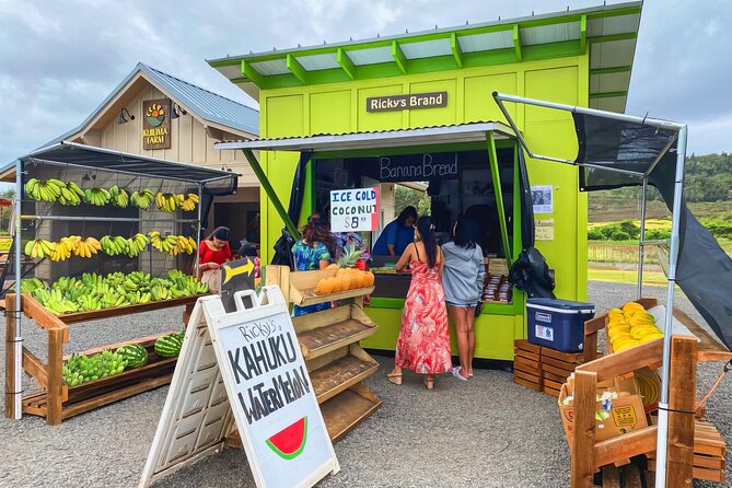 PRIVATE Premium Circle Island Tour (12 Stops) - Tropical Farms Macadamia Stop and Fruit Stand Time
