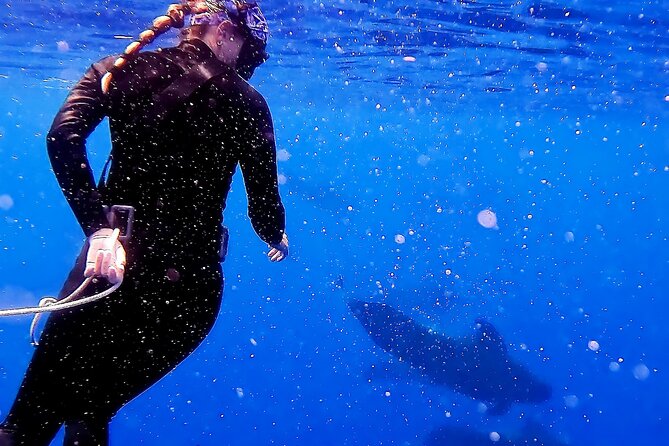 Private Sea’fari Expedition • 8 Guests Included (Expandable) - Why this Oahu Sea’fari feels like more than a boat tour