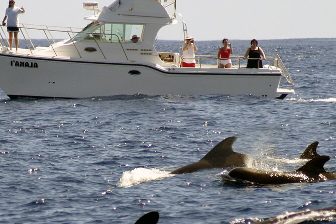 Private Sea’fari Expedition • 8 Guests Included (Expandable) - Food, snacks, and the included extras that reduce trip stress