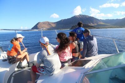 Private Sea’fari Expedition • 8 Guests Included (Expandable) - Citizen science on the water: how you help without slowing the day
