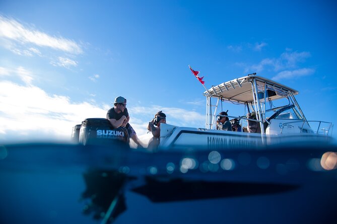 Private Shark Dive, Oahu, Hawaii (6 Guest) - The On-Water Plan: Watching Sharks with a Safety-First Crew