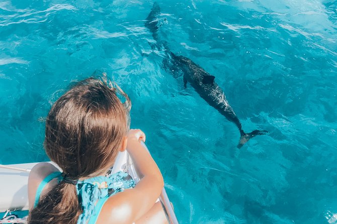 Private Snorkel Trip from Oahu on a Yacht - Snorkeling setup: gear, instruction, and turtle time