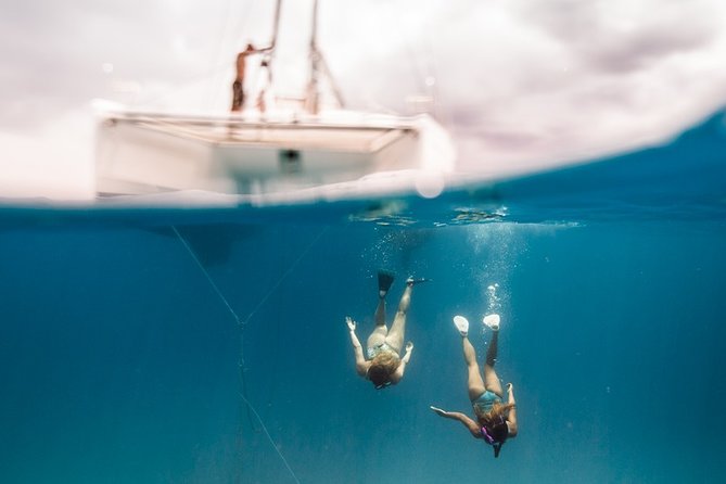 Private Snorkel Trip from Oahu on a Yacht - Should you book MANA Cruises + Charters private snorkel?
