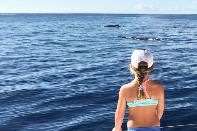 Private Snorkel Trip from Oahu on a Yacht - From Ko Olina Marina to West Oahu: the sailing pace
