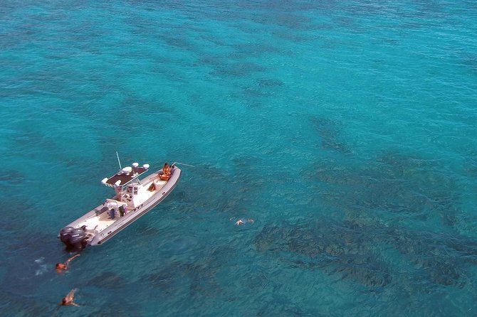 Private Snorkeling and Wildlife on The Adventure Boat - Snorkeling gear and coaching that fits real humans