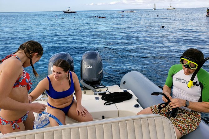 Private Snorkeling and Wildlife on The Adventure Boat - Meeting point and what to expect when you arrive
