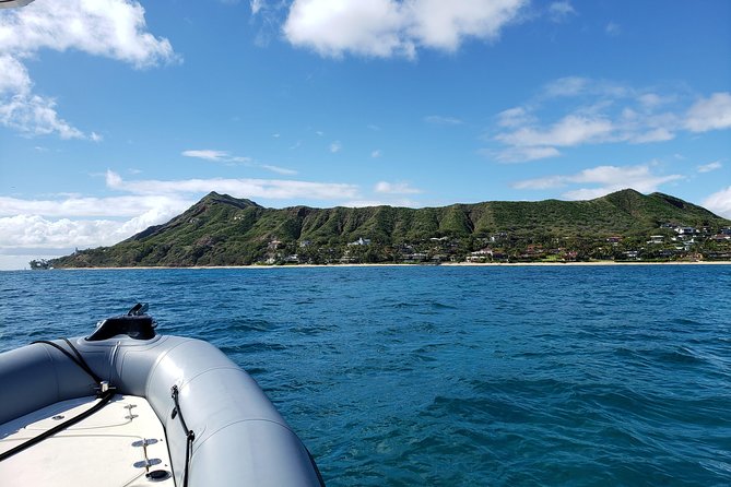 Private Snorkeling and Wildlife on The Adventure Boat - Practical tips so your 2 hours go smoothly